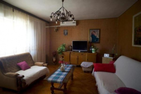 Apartment Nika